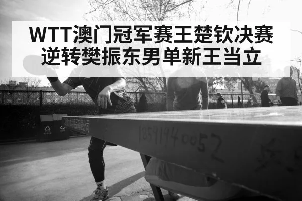 Fan Zhendong table tennis