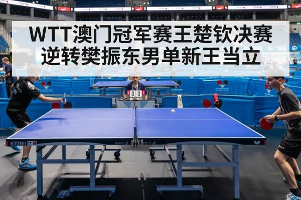 table tennis final match