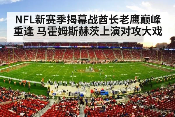 NFL football stadium crowd